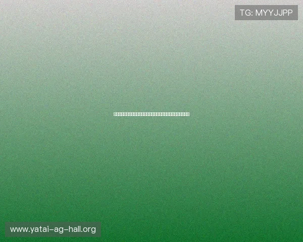 乌拉圭对佛得角比赛中黄牌数统计数据及对两队球员纪律表现的分析